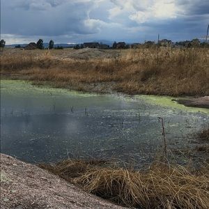 Meet your Posher, Austin